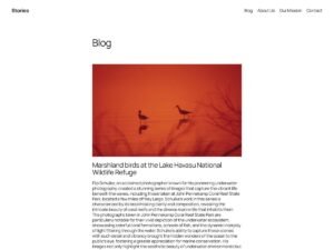 Free Twenty Twenty-Five WordPress Theme