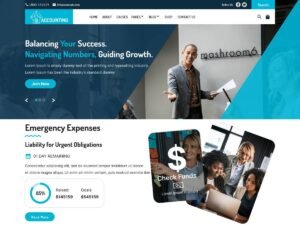 Free Alpha Accounting WordPress Theme