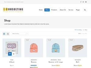 Free BC Store WordPress Theme
