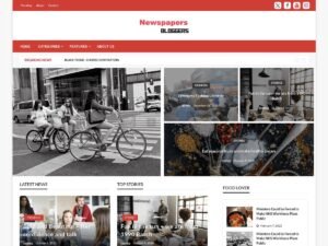 Free Blogger Newspaper WordPress Theme