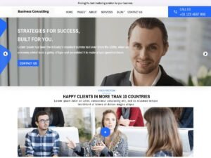 Free Business Consulting Agency WordPress Theme