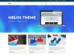 Free Melos Store WordPress Theme