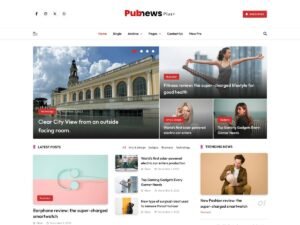 Free Pubnews Plus WordPress Theme