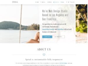 Free Spiral Lite One Page WordPress Theme