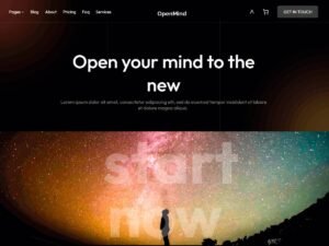 Free openmind WordPress Theme