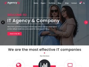 Free Agencyfy WordPress Theme