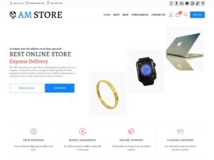 Free AmStore WordPress Theme