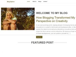 Free Blog Sphere WordPress Theme