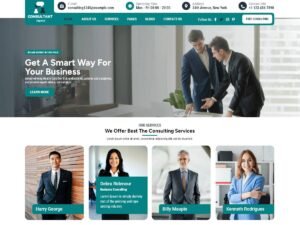 Free Consultant Agency WordPress Theme
