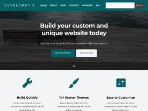 Free Developry X WordPress Theme
