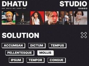 Free Dhatu WordPress Theme