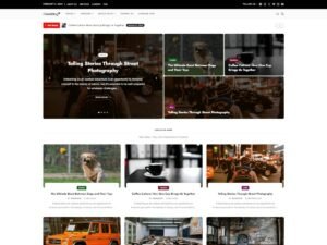 Free FlareBlog WordPress Theme