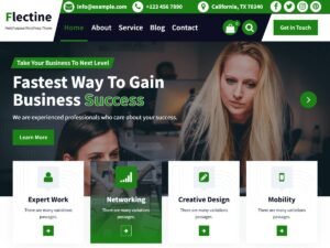 Free Flectine WordPress Theme