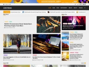 Free Link News WordPress Theme