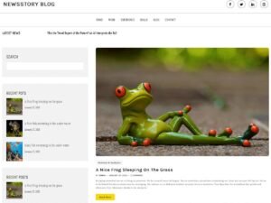 Free Newstory Blog WordPress Theme