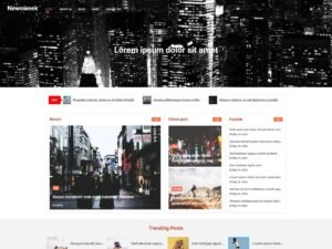 Free Newsweek WordPress Theme