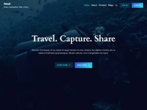 Free Nexal WordPress Theme