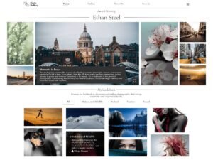 Free Photo Gallery WordPress Theme
