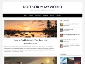 Free Responsive Blog Kit WordPress Theme