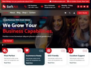 Free SoftAlt WordPress Theme