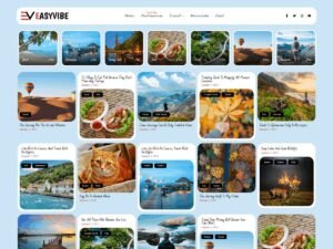 Free Easyvibe WordPress Theme
