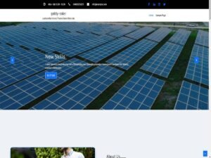 Free Goldy Soler WordPress Theme