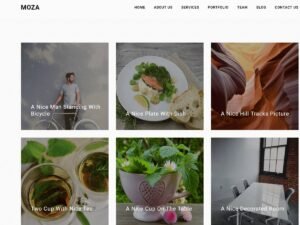 Free Moza WordPress Theme