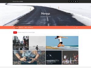 Free Newsp WordPress Theme