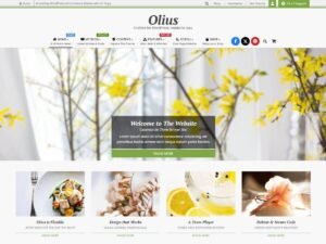 Free Olius WordPress Theme