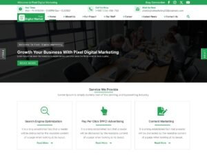 Free Pixel Digital Marketing WordPress Theme