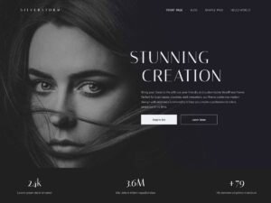 Free Silverstorm WordPress Theme