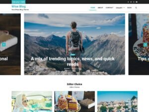 Free Wise Blog WordPress Theme