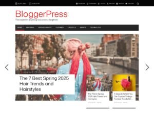 Free BloggerPress WordPress Theme