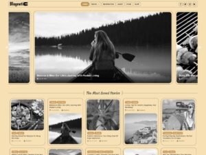 Free Blognetic WordPress Theme