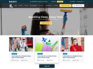 Free Cleaning Specialist WordPress Theme