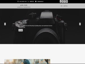 Free Goldy Studio WordPress Theme