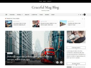 Free Graceful Mag Blog WordPress Theme