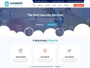 Free Laundry Care WordPress Theme