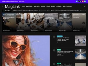 Free MagLink WordPress Theme