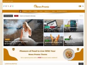 Free News Promo WordPress Theme