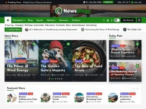Free NewsBlogy WordPress Theme