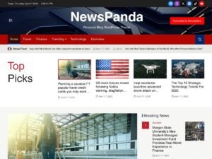 Free NewsPanda WordPress Theme