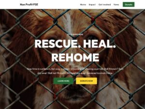 Free Non Profit FSE WordPress Theme