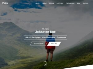 Free Pedro WordPress Theme