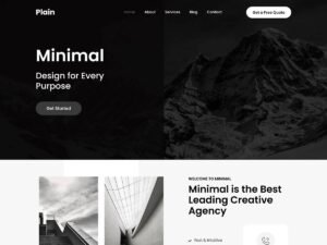 Free SKT Plain WordPress Theme