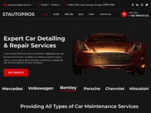 Free ST Auto Detailing WordPress Theme