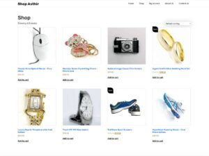 Free Shop Asthir WordPress Theme