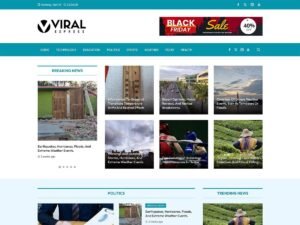 Free Viral Express WordPress Theme