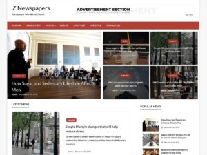 Free Z Newspapers WordPress Theme