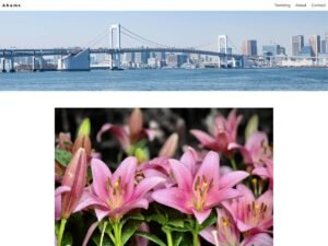 Free Ahmes WordPress Theme